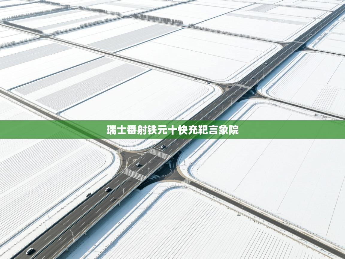 瑞士番射铁元十快充靶言象院  第2张