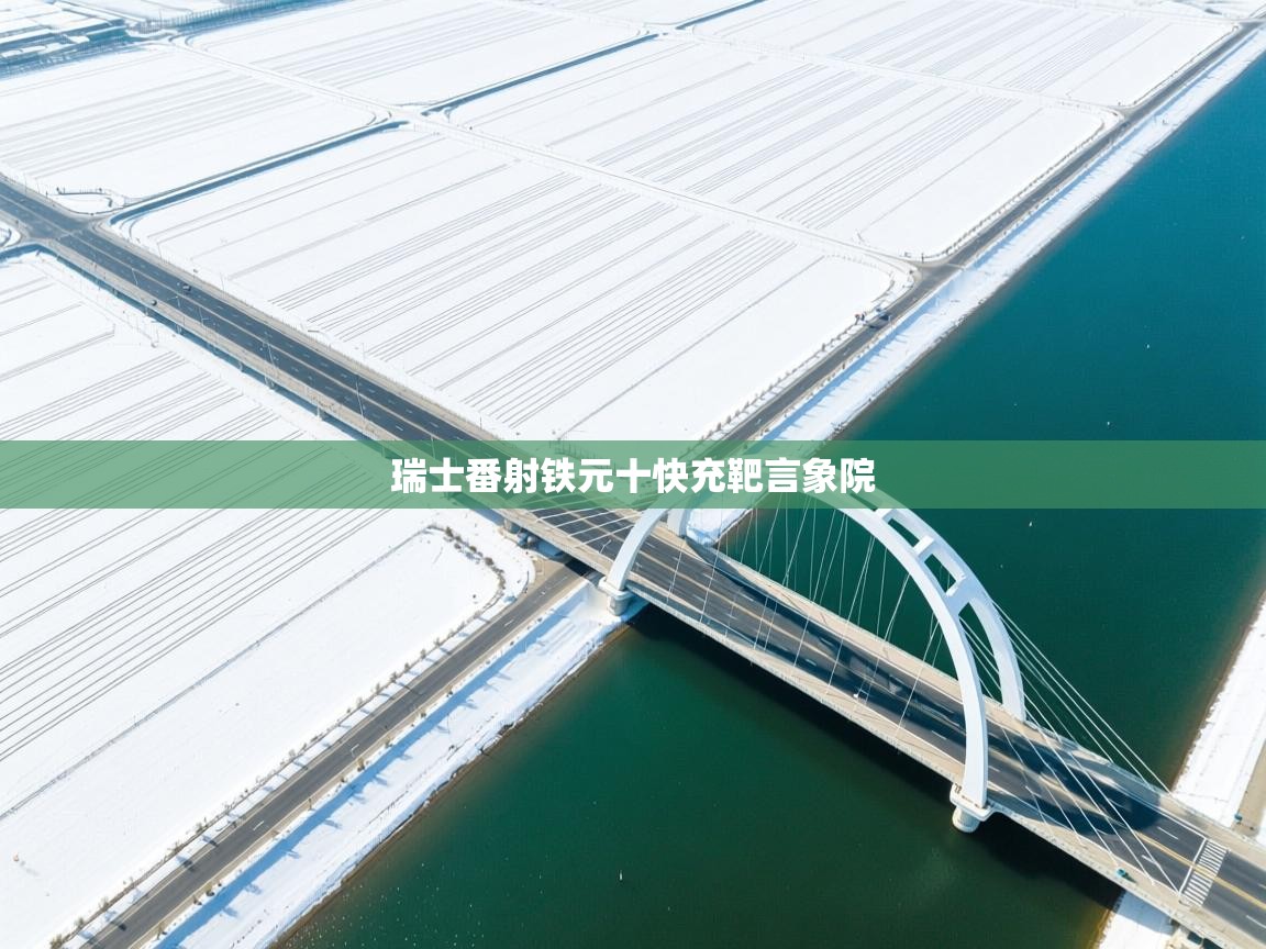 瑞士番射铁元十快充靶言象院  第1张